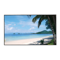 Dahua LM43 izleme monitörü